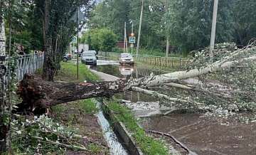 В Омске пять человек пострадали из-за непогоды