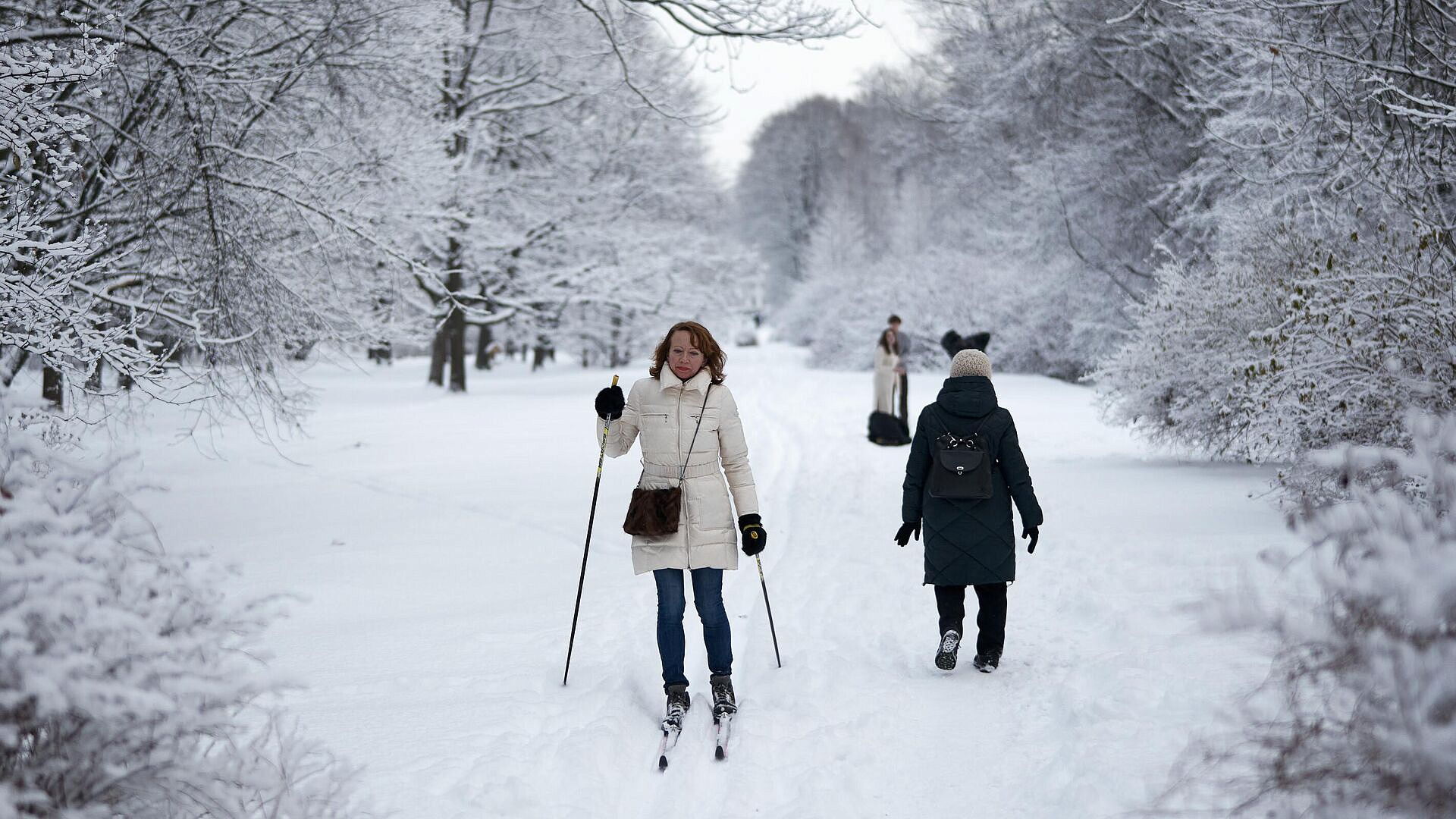 ����� �������, ����� ������ ���������� �������� ������������