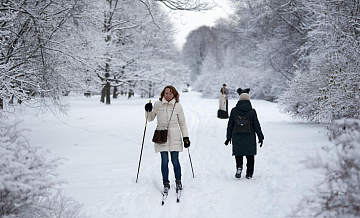 ����� �������, ����� ������ ���������� �������� ������������