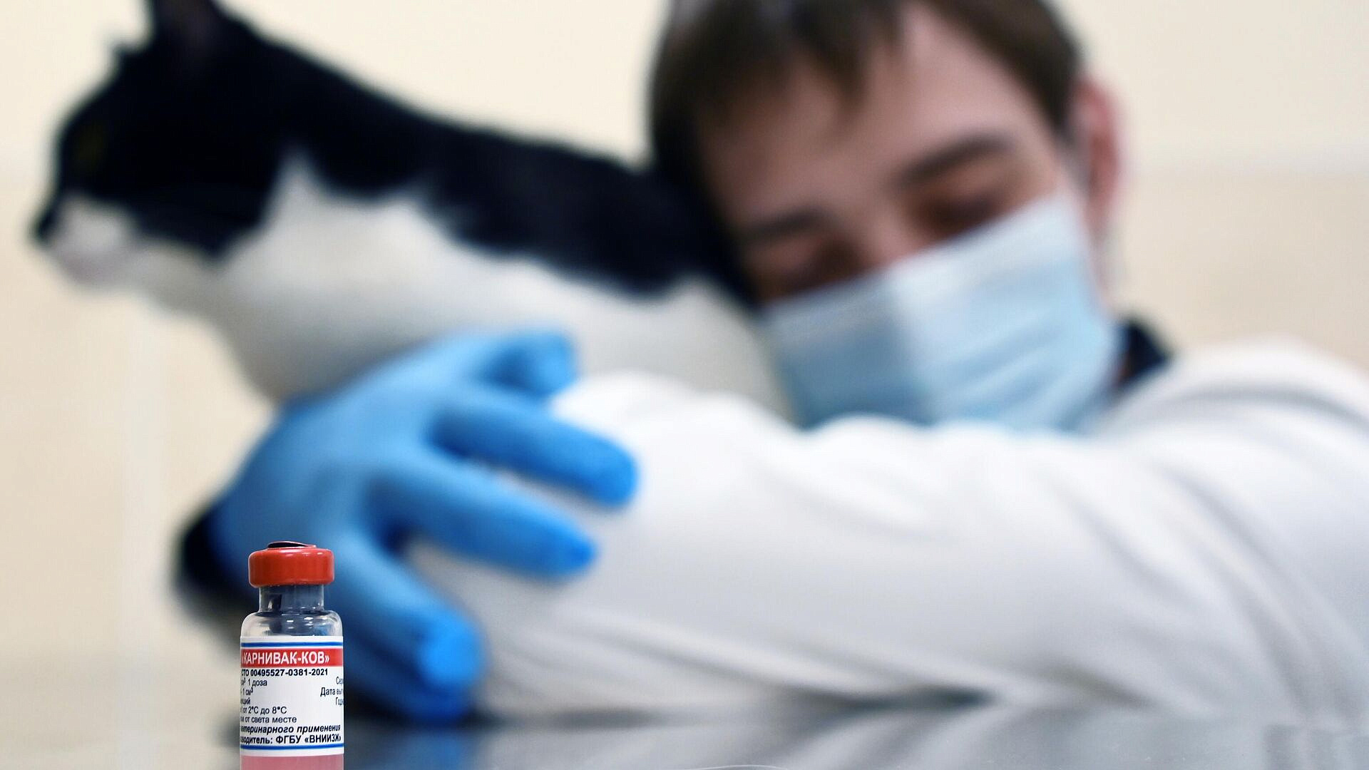 Эксперт призвала выпускать в России больше вакцин для домашних питомцев