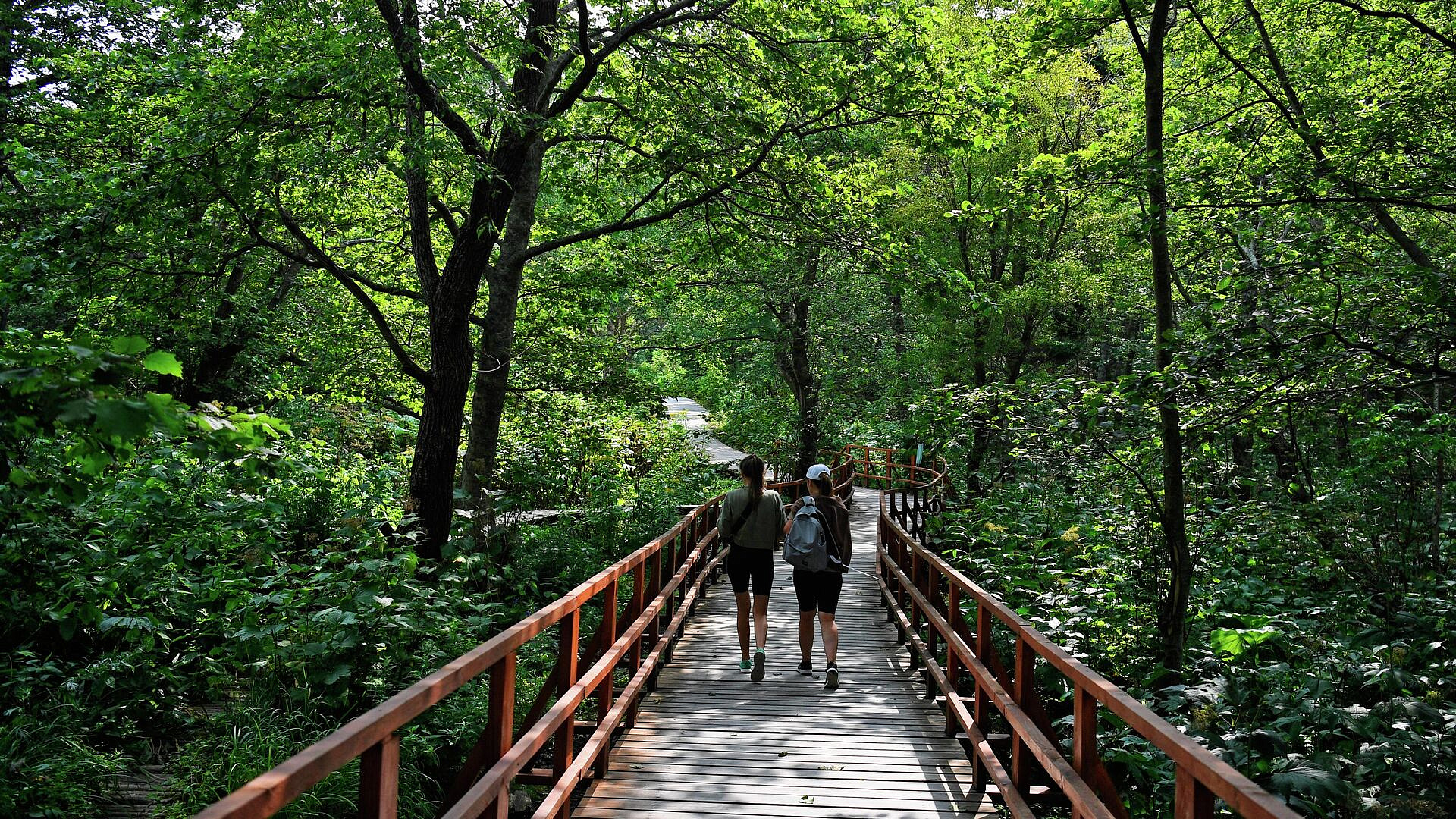 � ������ �������� ������������ ������������� ���������