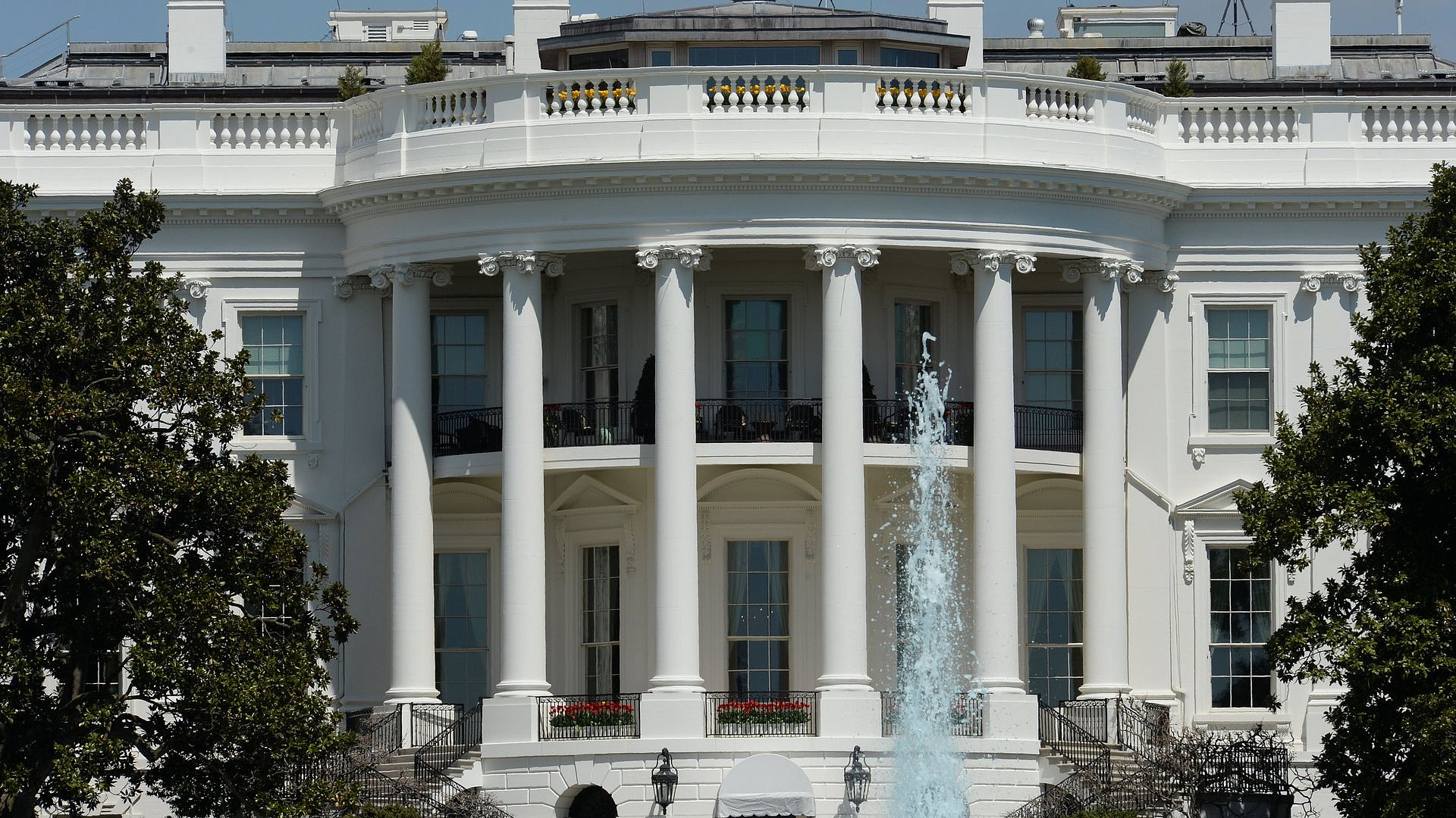 На рынке прогнозов в США назвали фаворитов на пост пресс-секретаря Трампа