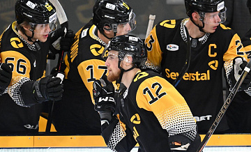 "Северсталь" обыграла "Нефтехимик" и досрочно вышла в плей-офф КХЛ