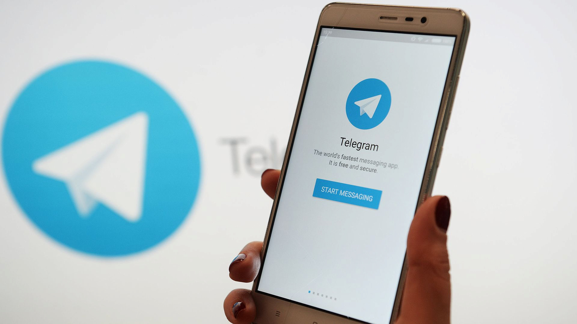 Террористы массово используют Telegram, заявил испанский IT-эксперт 