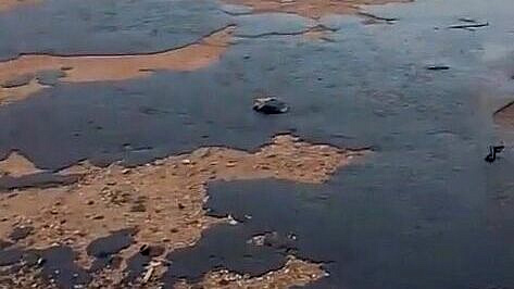 ������� ���������, ������� ������� ����� �� �������� ����������� �������