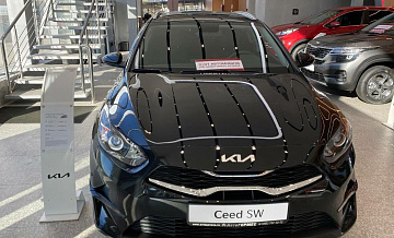 Kia зарегистрировала новые товарные знаки для продажи машин в России