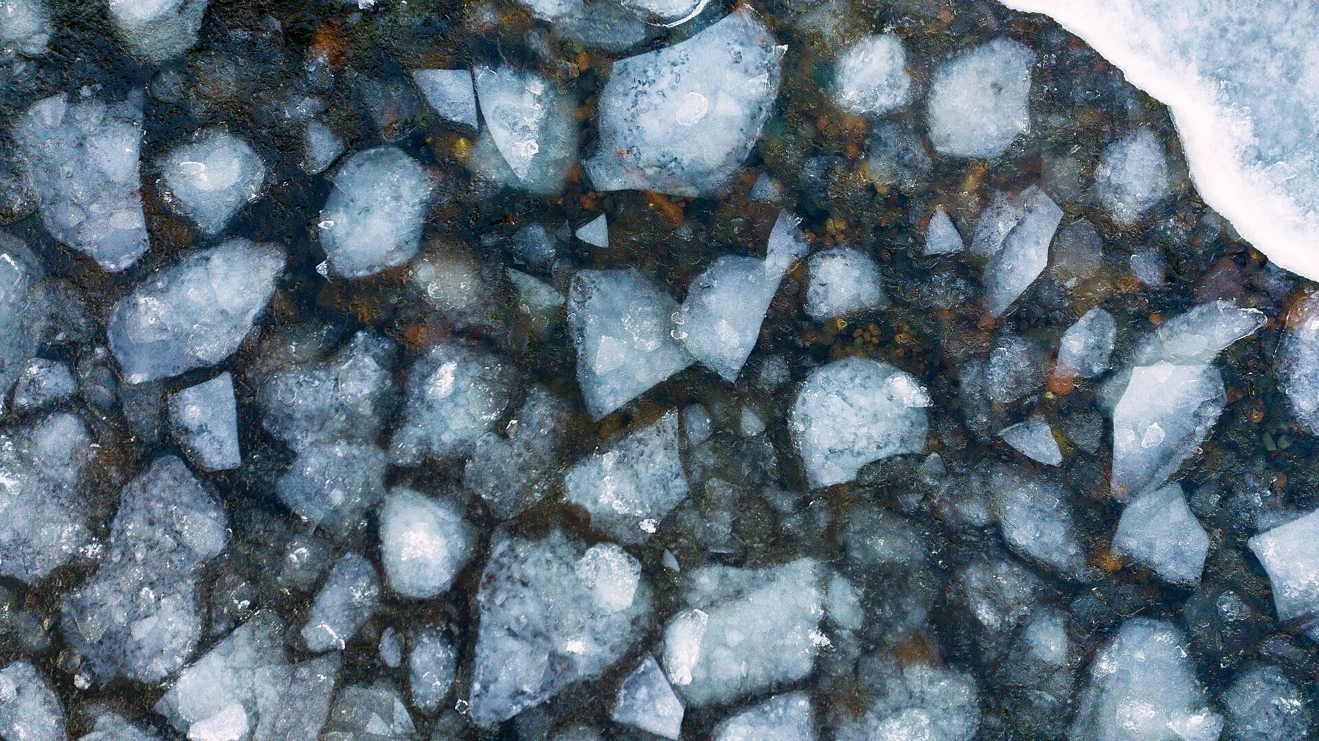 В "ЛизаАлерт" рассказали, как уберечь детей от трагедий на водоемах весной