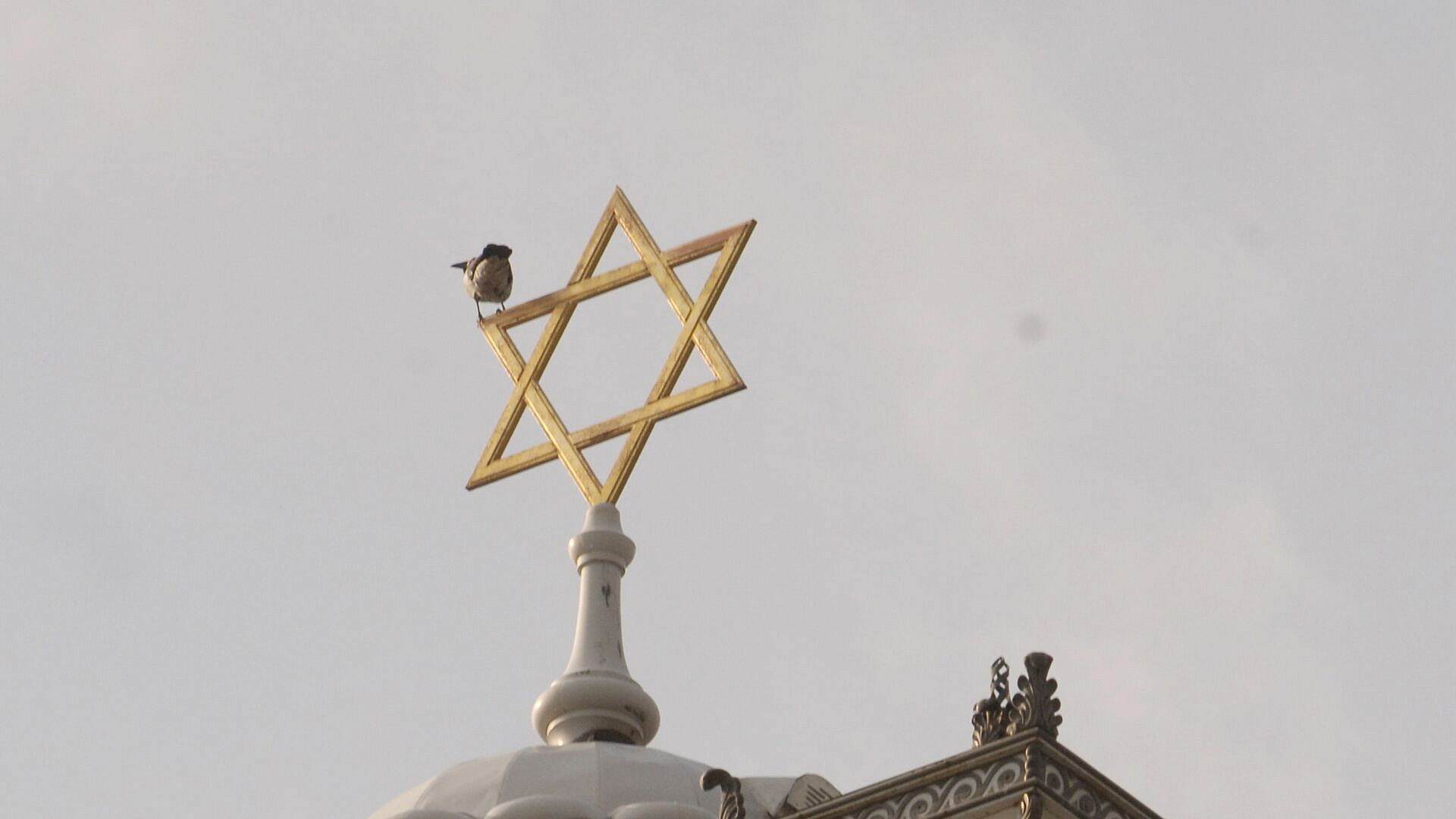 В Роттердаме подожгли синагогу, власти считают это антисемитской атакой