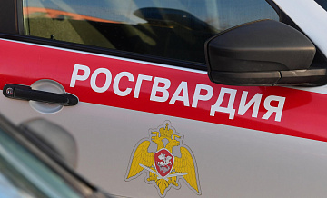 В ДНР задержали мужчину, подозреваемого в краже из магазина
