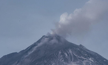 ������ ���������� �������� ����� �� ������ 5 ����������