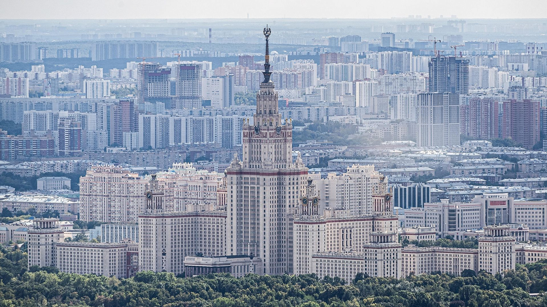 Конкурс на факультет искусственного интеллекта МГУ составил 127 человек