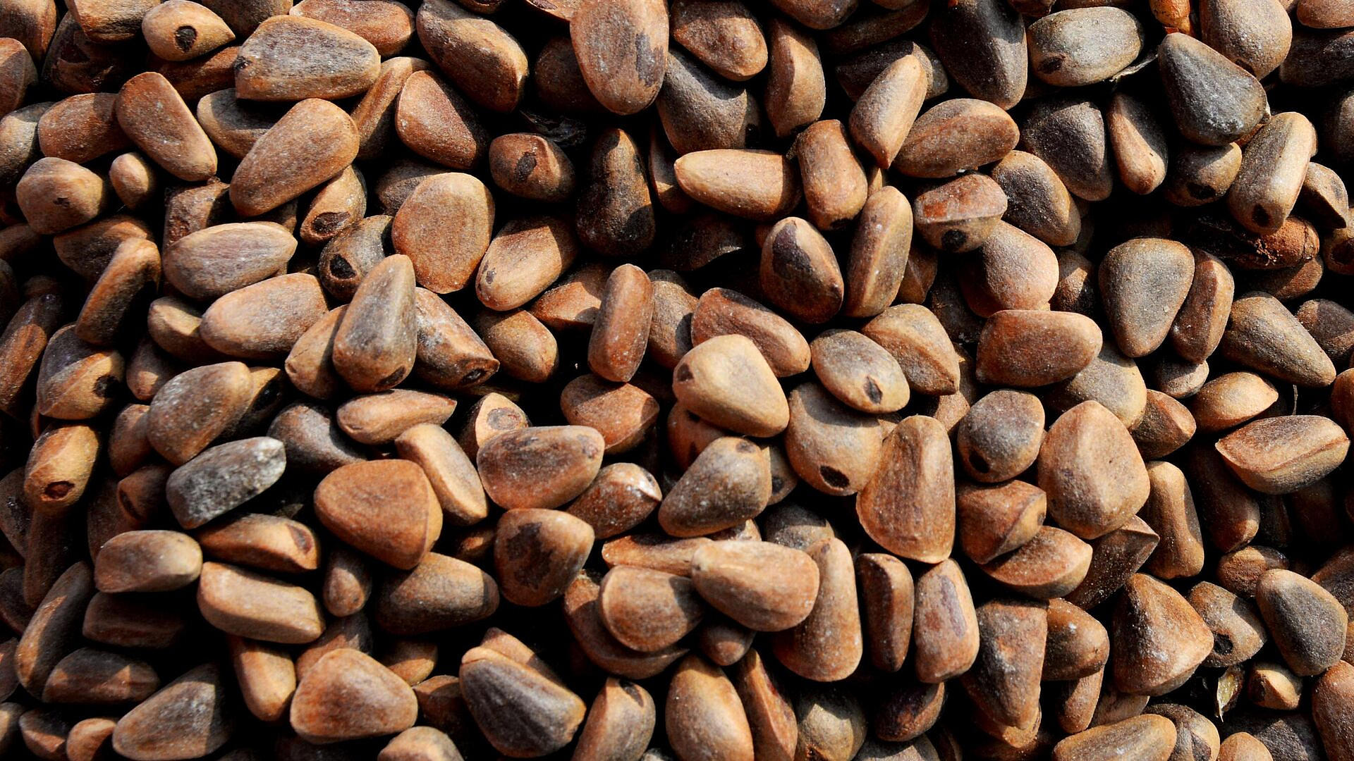 Ученый назвал продукты, которые богаты цинком