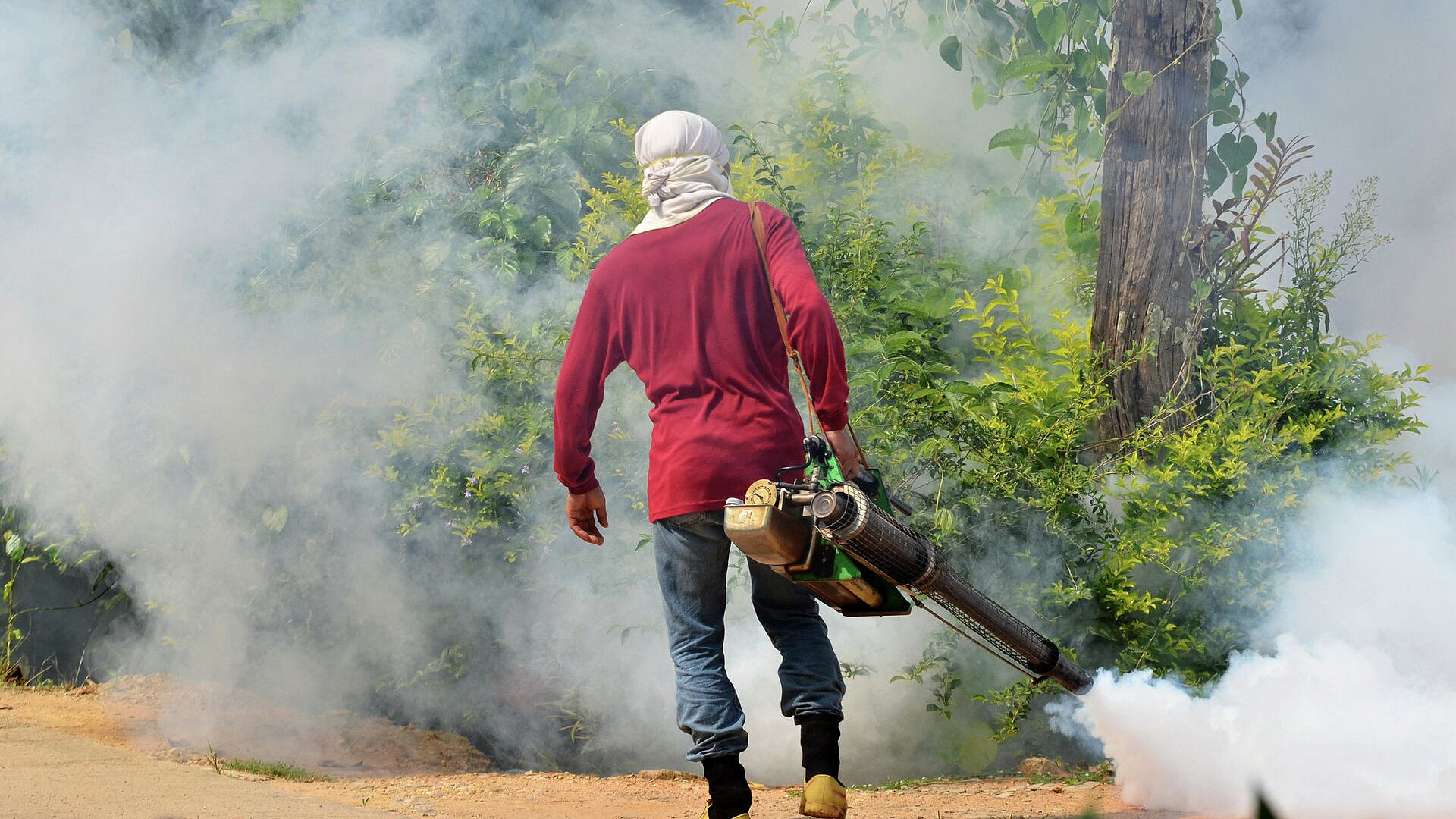 В столице Вьетнама зафиксировали рост случаев лихорадки денге