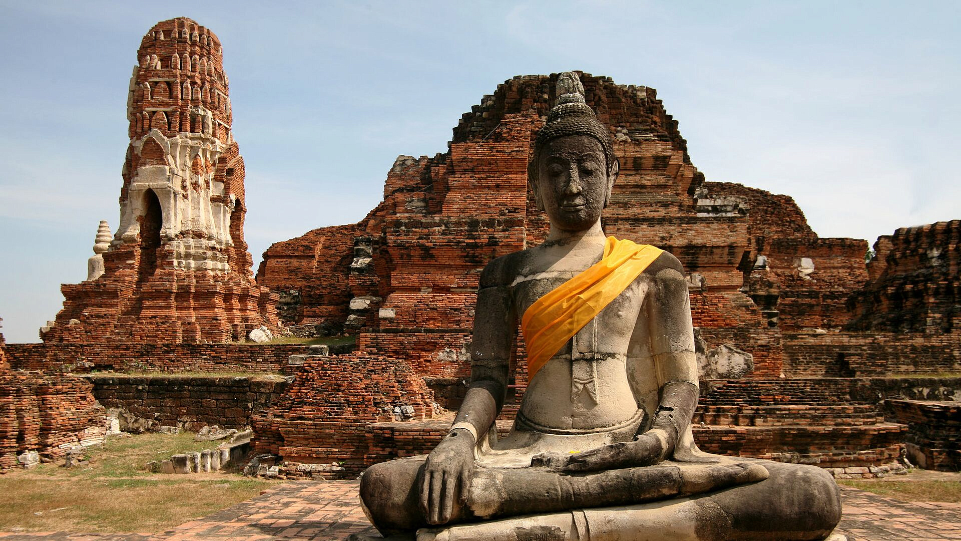 Тысячи сахарных поссумов погибают после покупки туристами в Таиланде