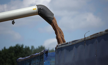 Россия нарастила поставки пшеницы в Китай более чем в пять раз