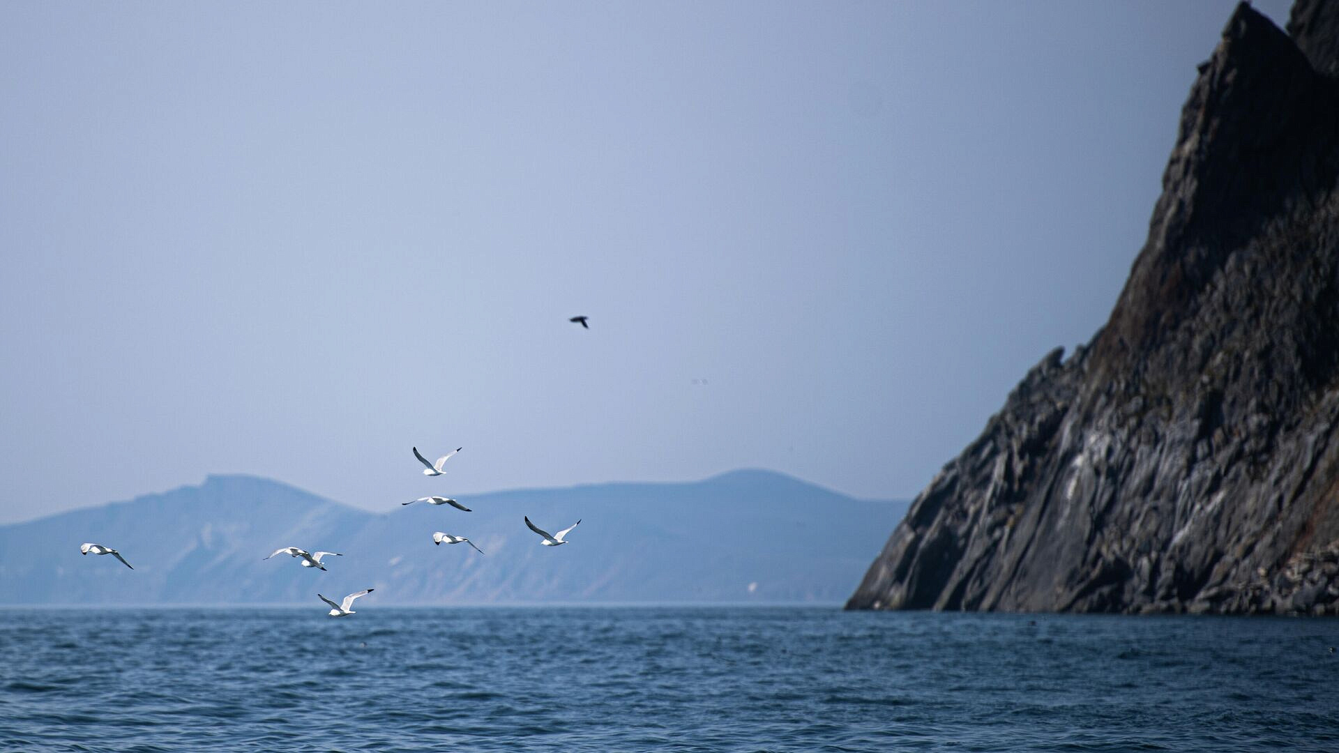 ���-����������� ������ ������ ���� ������� ����� ������� � �������