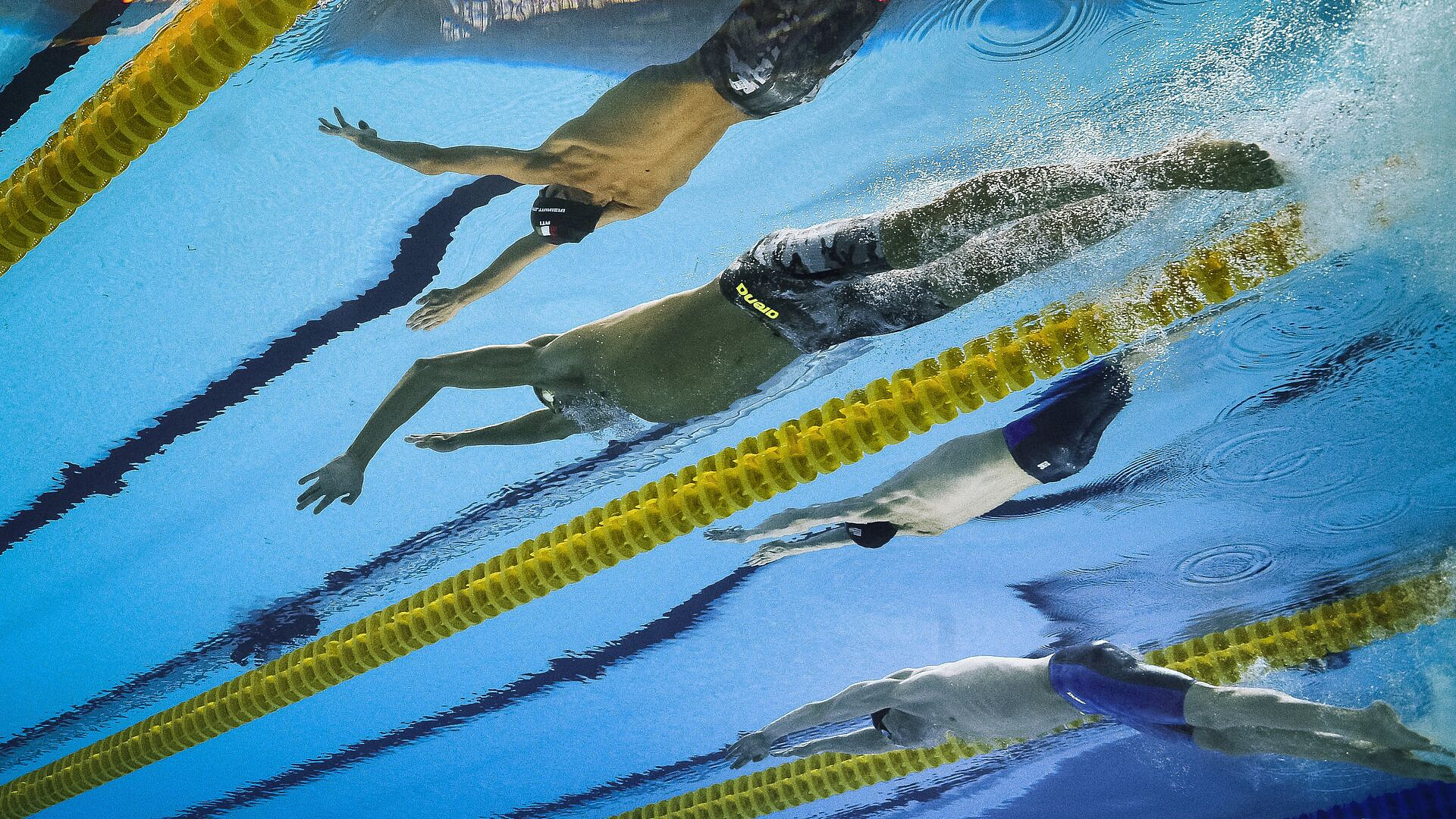 Мазепин рассказал, когда Россия сможет принять ЧМ по водным видам спорта