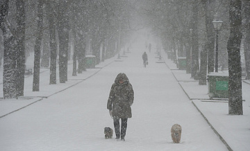 � ������ ������ �������� ������� �������� 31 ����������