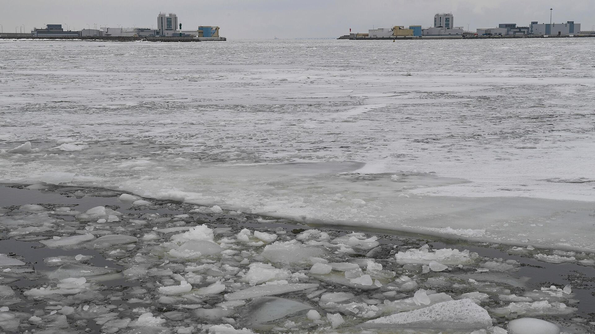 В Ленинградской области рыбаков спасают со льда Финского залива