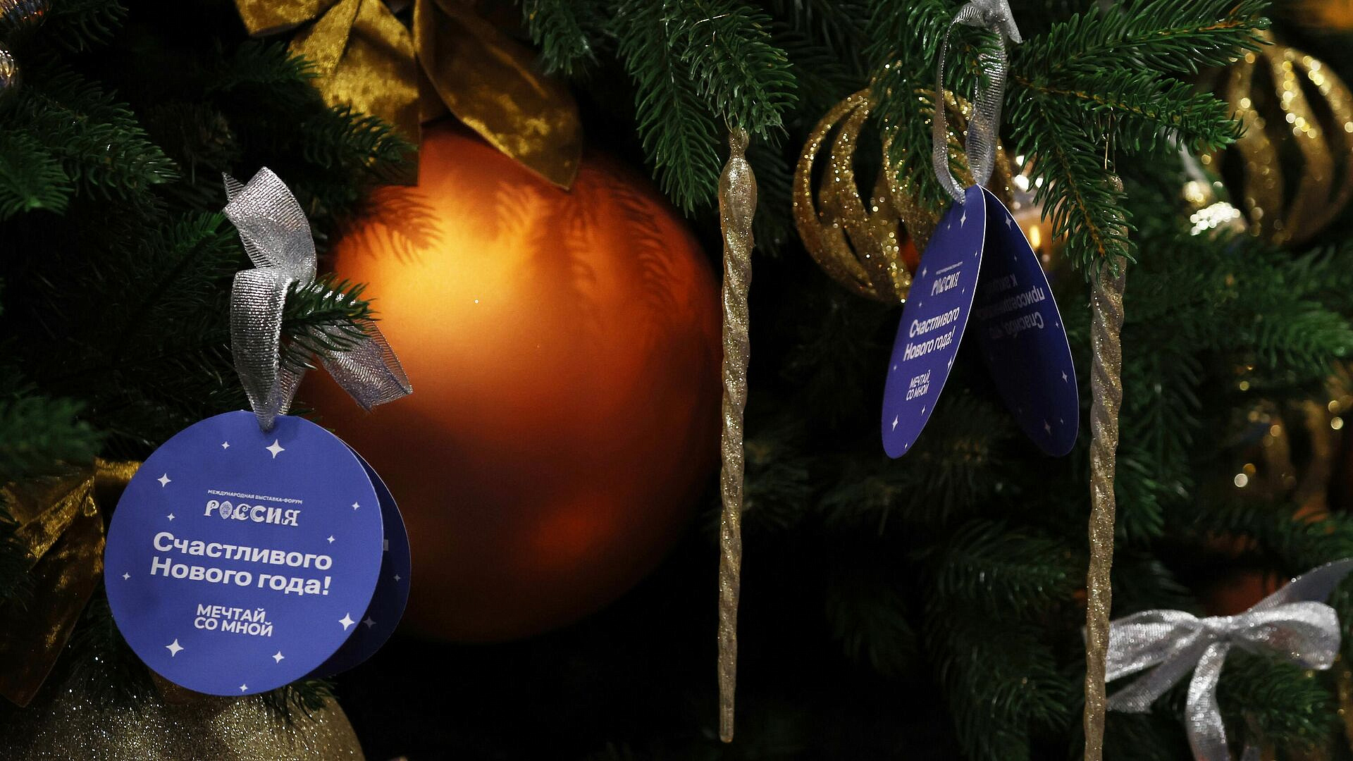 Глава Росмолодежи присоединился к акции "Елка желаний"