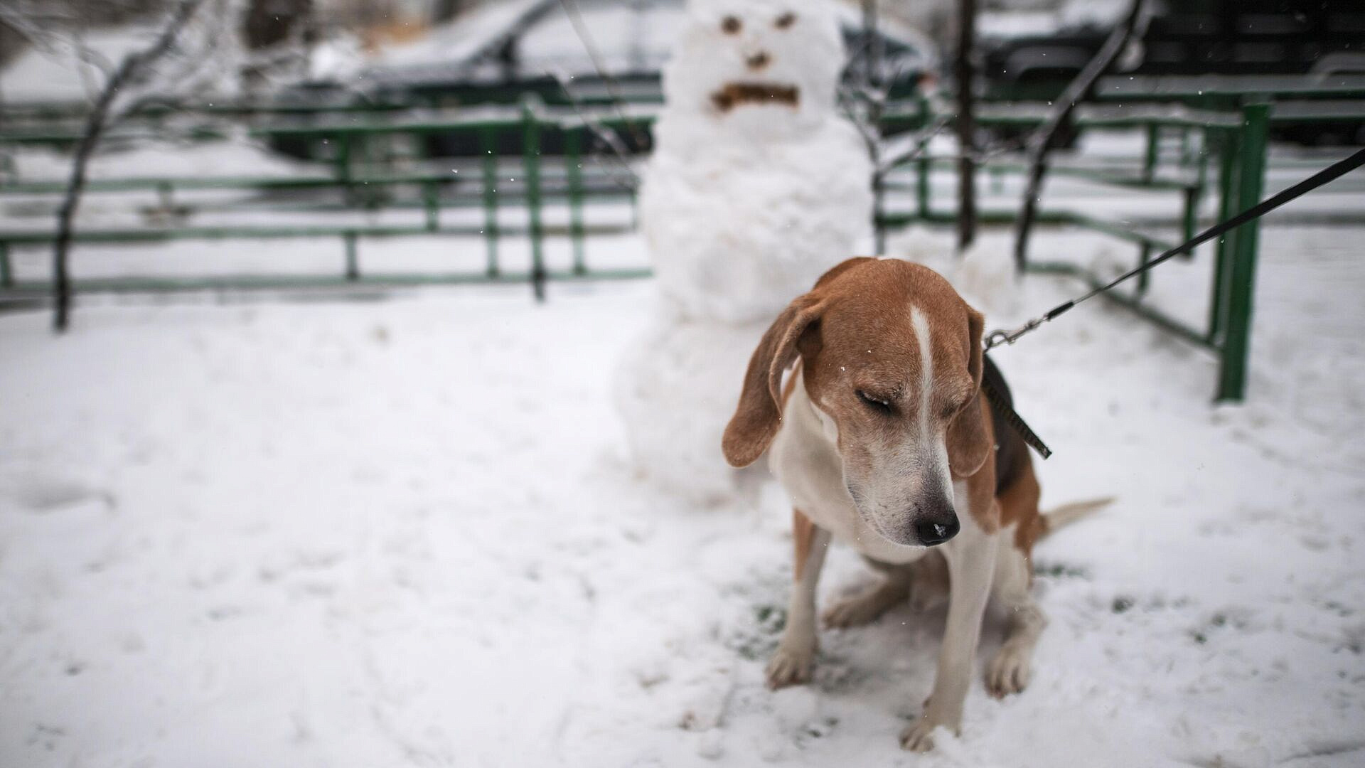 ������� ���������, ��� ������ ���� ������� �� ����� ���������� ��������