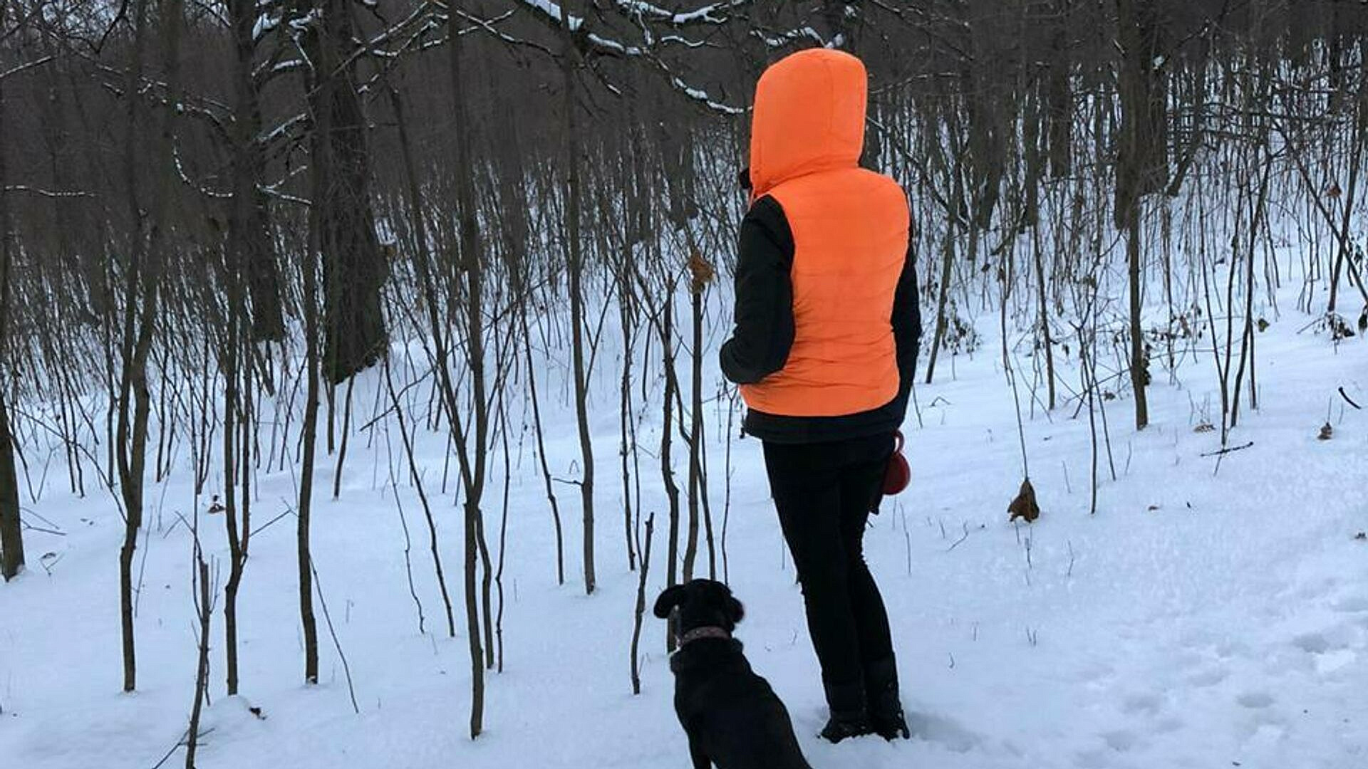 В "ЛизаАлерт" расширили поиск пропавших в Петербурге сестер на 15 регионов