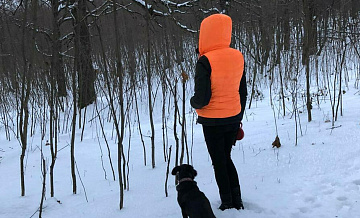 В "ЛизаАлерт" расширили поиск пропавших в Петербурге сестер на 15 регионов