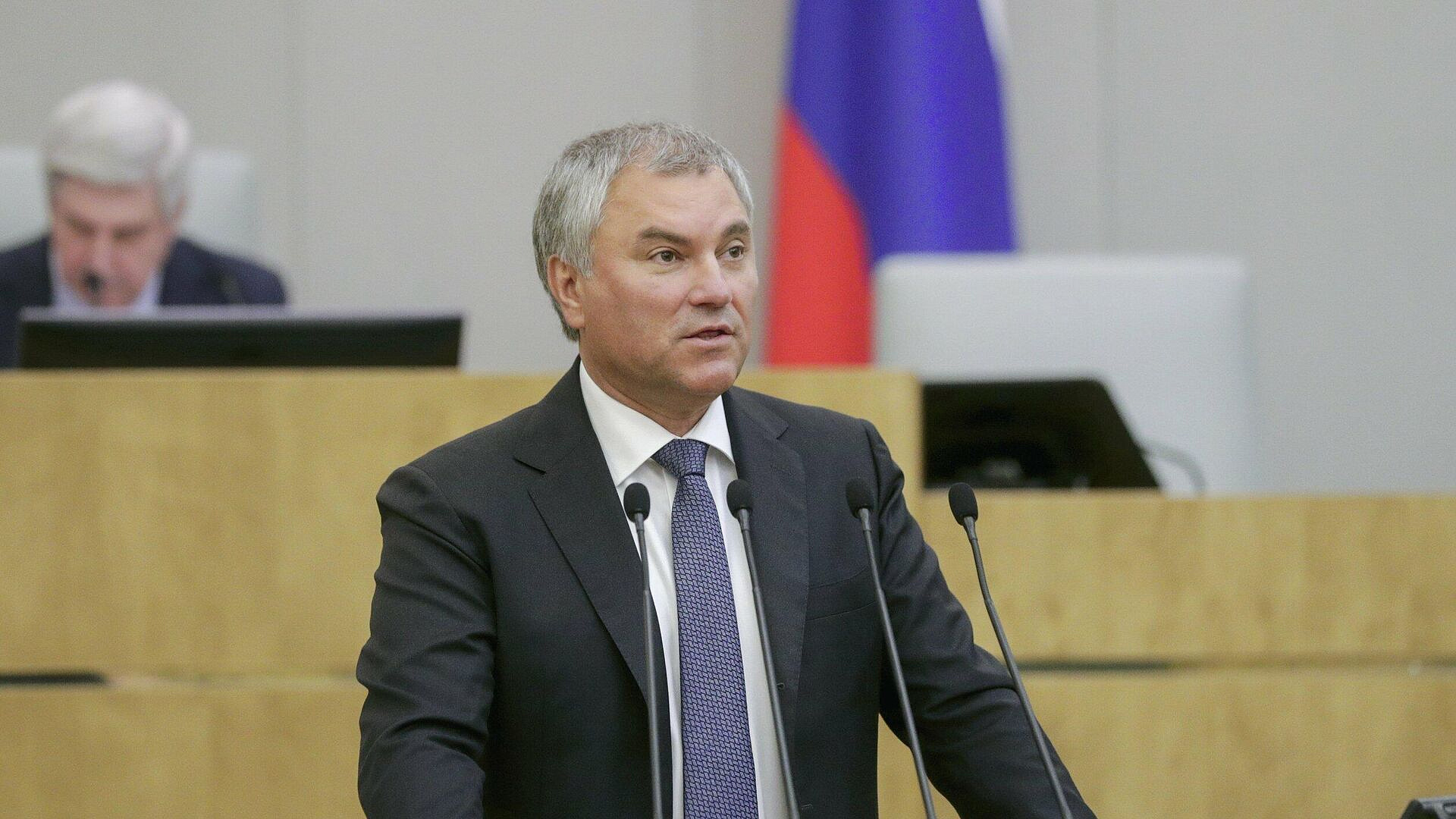 Володин призвал парламенты России и ЮАР укреплять отношения