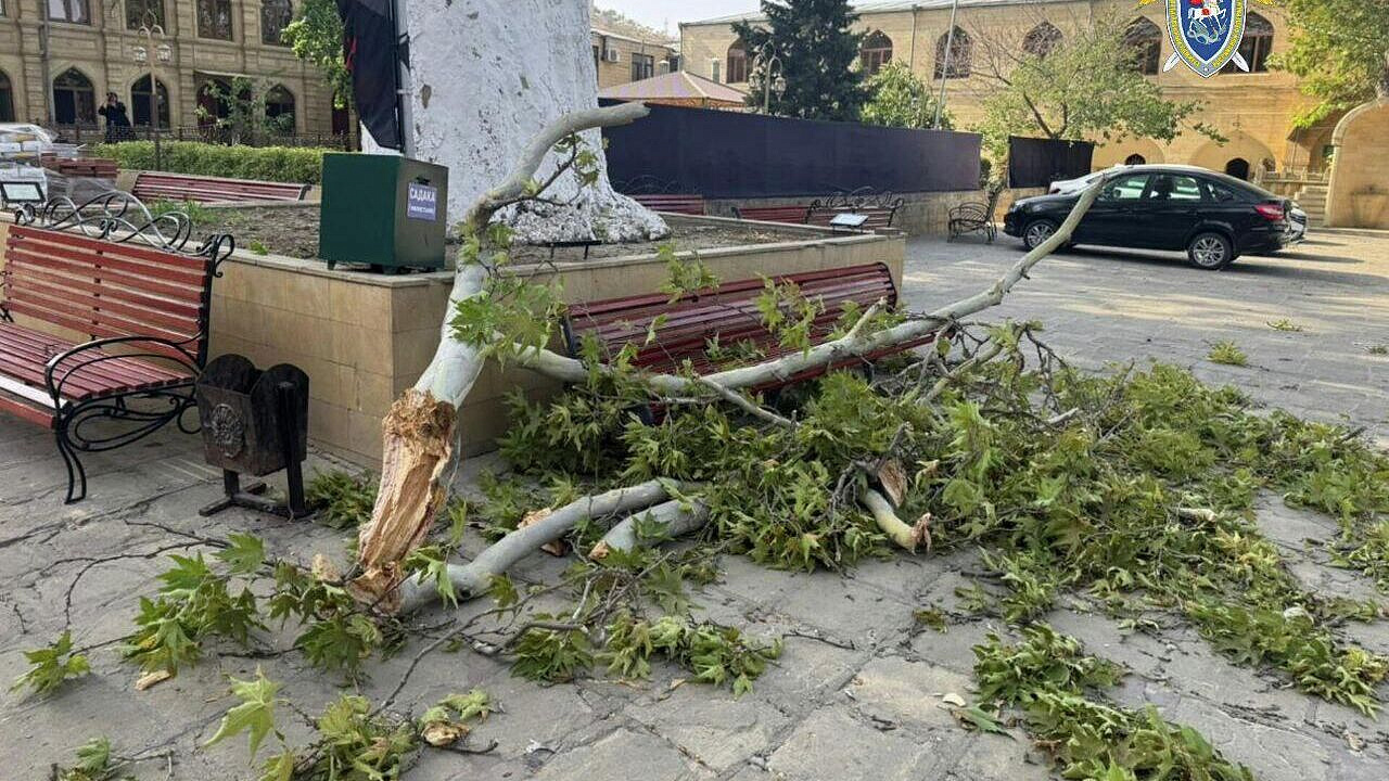 Погибшая в Дербенте туристка оказалась сотрудницей "Газпрома"