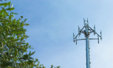 � ������������� ������� �������� ������������� ������ ���������-��������