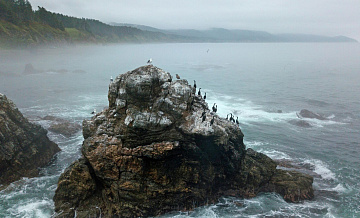 Ученые взяли пробы в Охотском море после сброса воды с "Фукусимы"