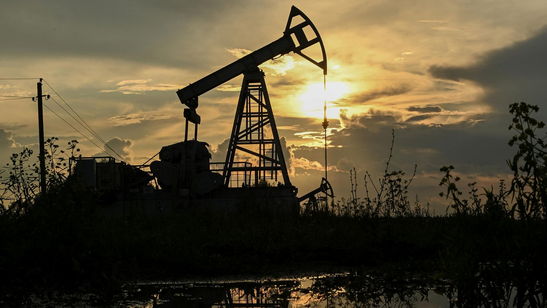 США не смогут восполнить потери нефти, заявил экс-советник Трампа