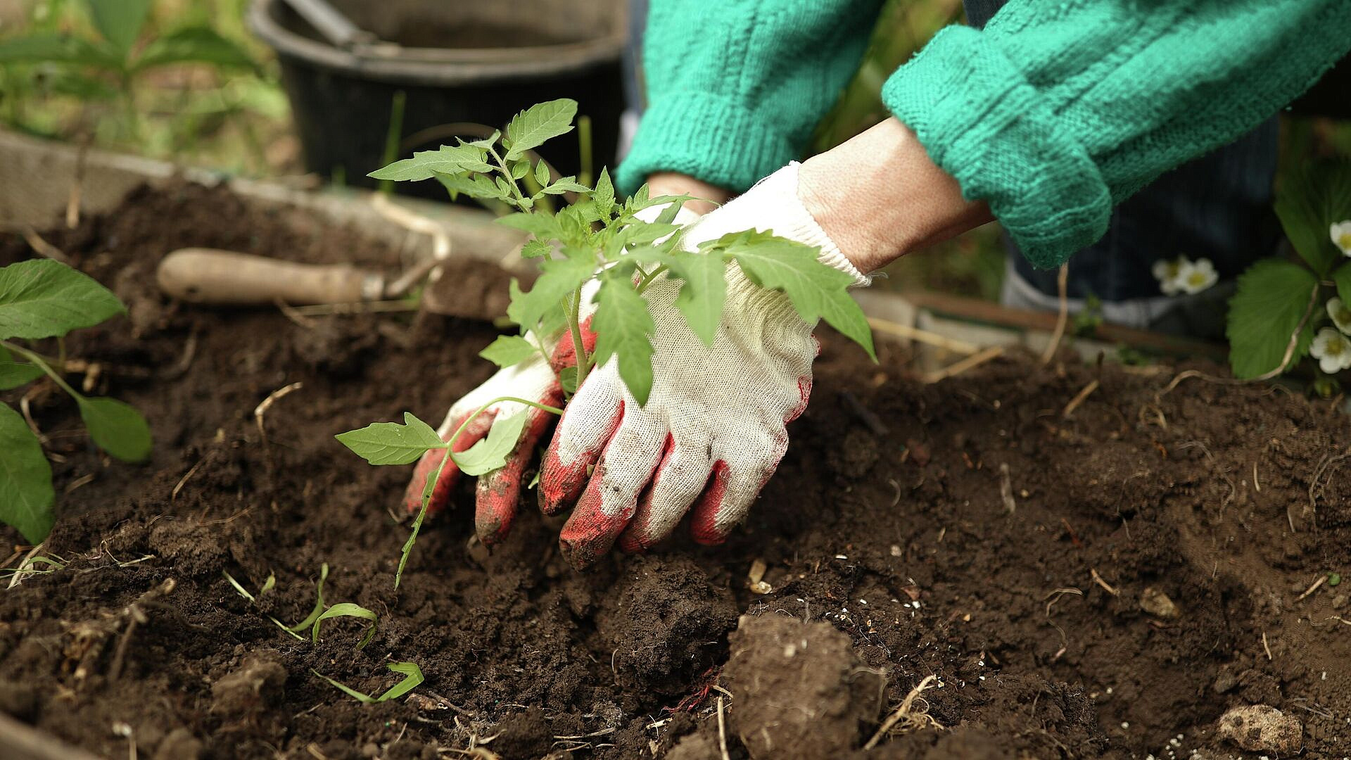 Синоптик предупредила об опасности раннего открытия дачного сезона
