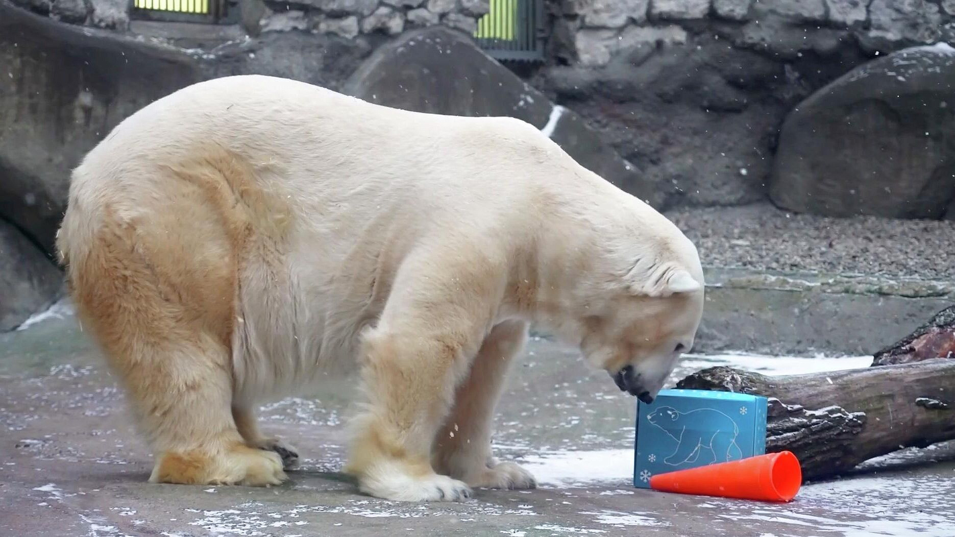 ���������� ������� ��������� ������ ������� ������ � ���� ��������