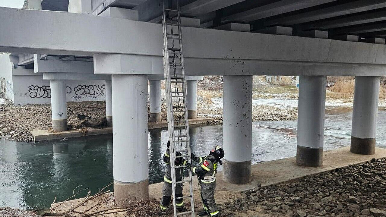 � ����������� ������ �����, ������� �� ���������� �����