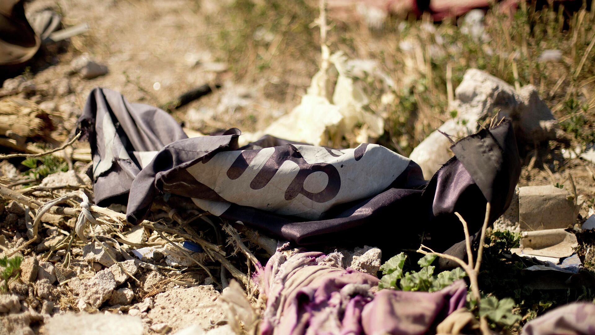 � ������ ������������� 15 �������� ��*, �������� ���