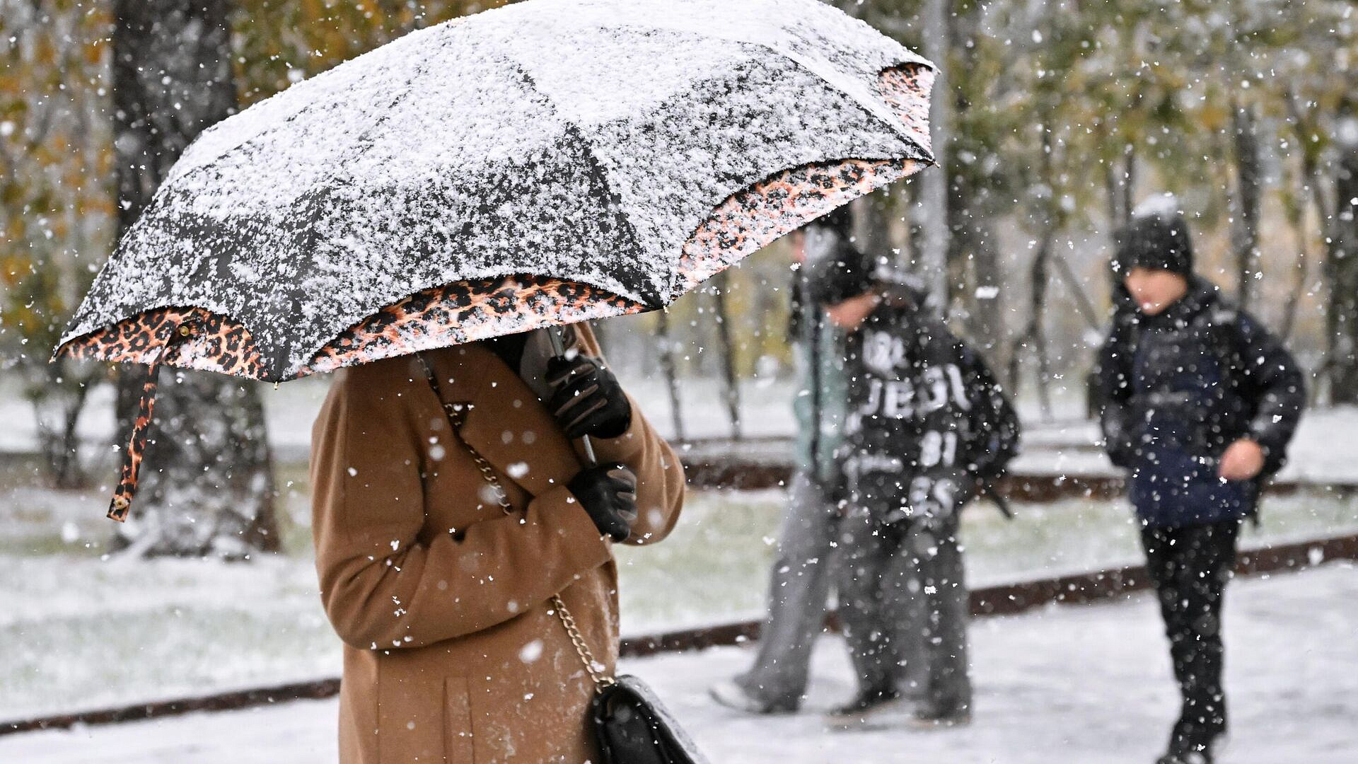 ��������� ������������ � ������� �������� ��-�� ��������