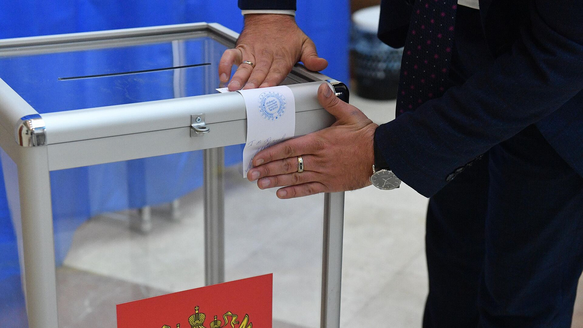 Партнеры ЦИК из Европы приедут в Россию на выборы в Госдуму