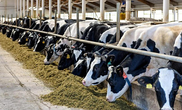 В Саратовской области создадут тысячу рабочих мест в сфере АПК