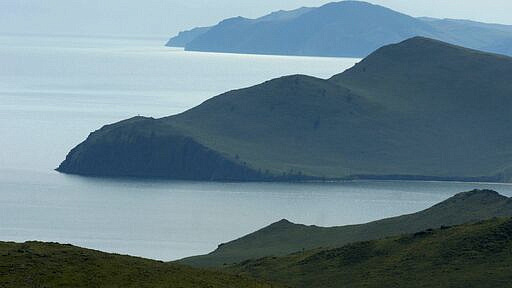 Экологи запустили проект по спасению редкой ольхонской полевки