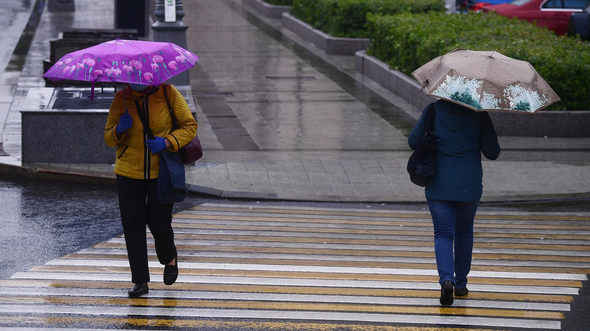 �������� ������ � ������ �������, �� ����� �����������