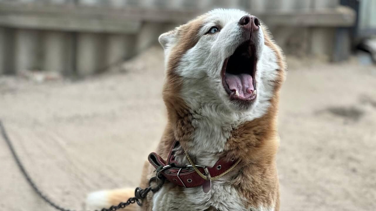 ������ ���� ���������, ��� ������ ����� �� �������, ���� �� �� ��������