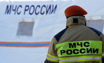 В Ярославской области ищут пропавшую в лесу семью