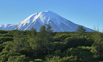 � ������� �������� �� ����� ������������� ����� ���������� 