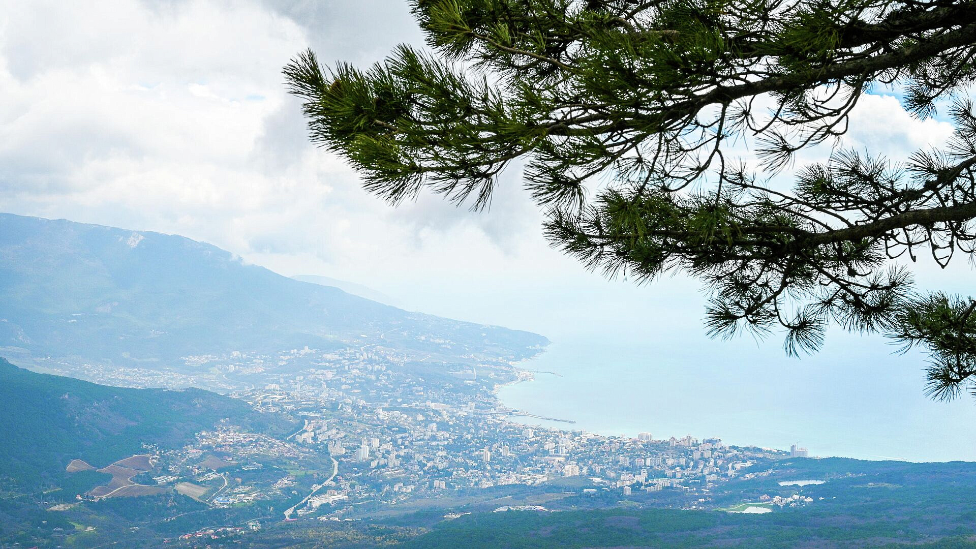 ������ � ���-������� �� ����� �������� ����� ������� ����� ����������