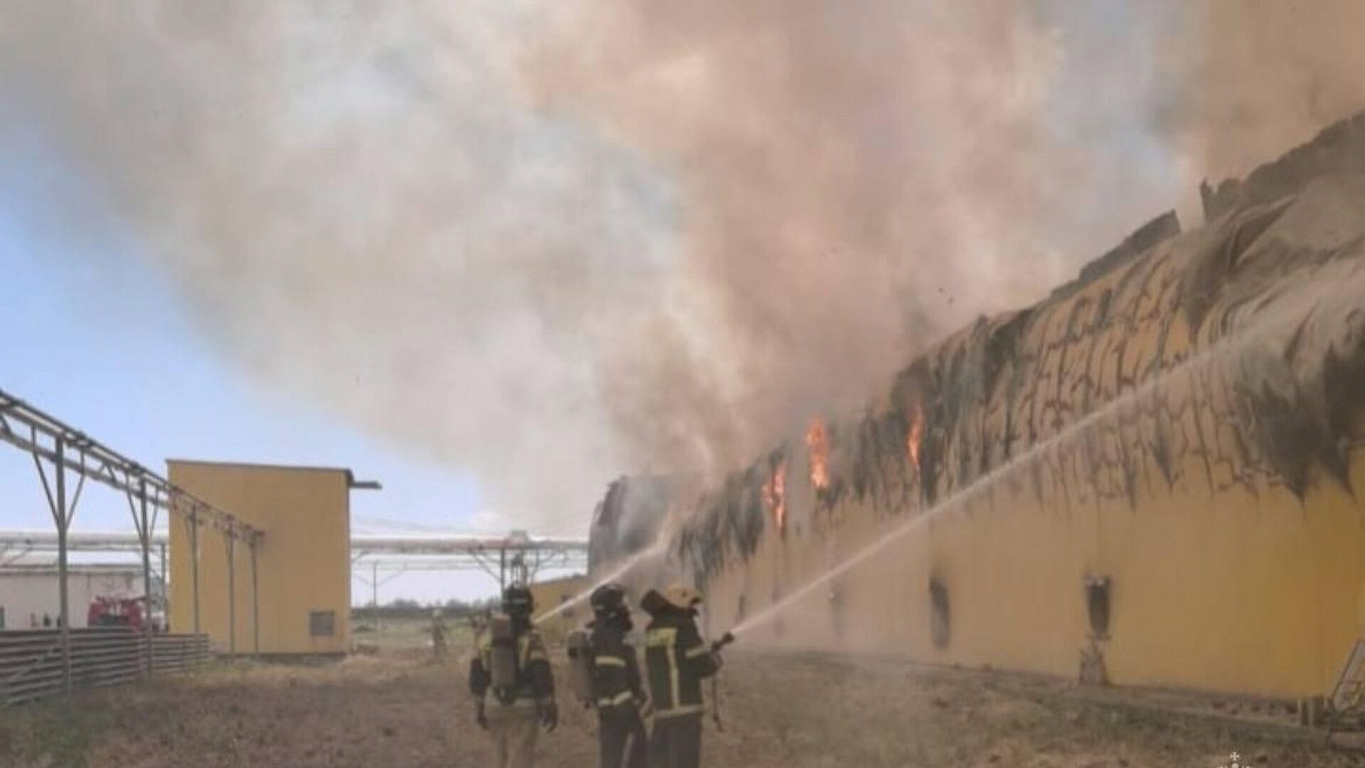 В Астраханской области при пожаре погибли около 166 тысяч кур