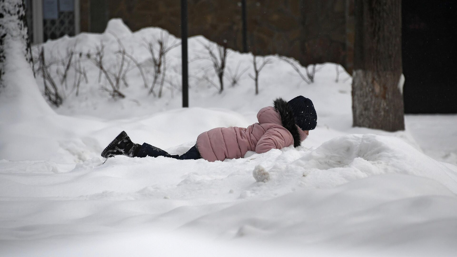 � ������������� ����������� �������� ������� ������ ������� �� �����