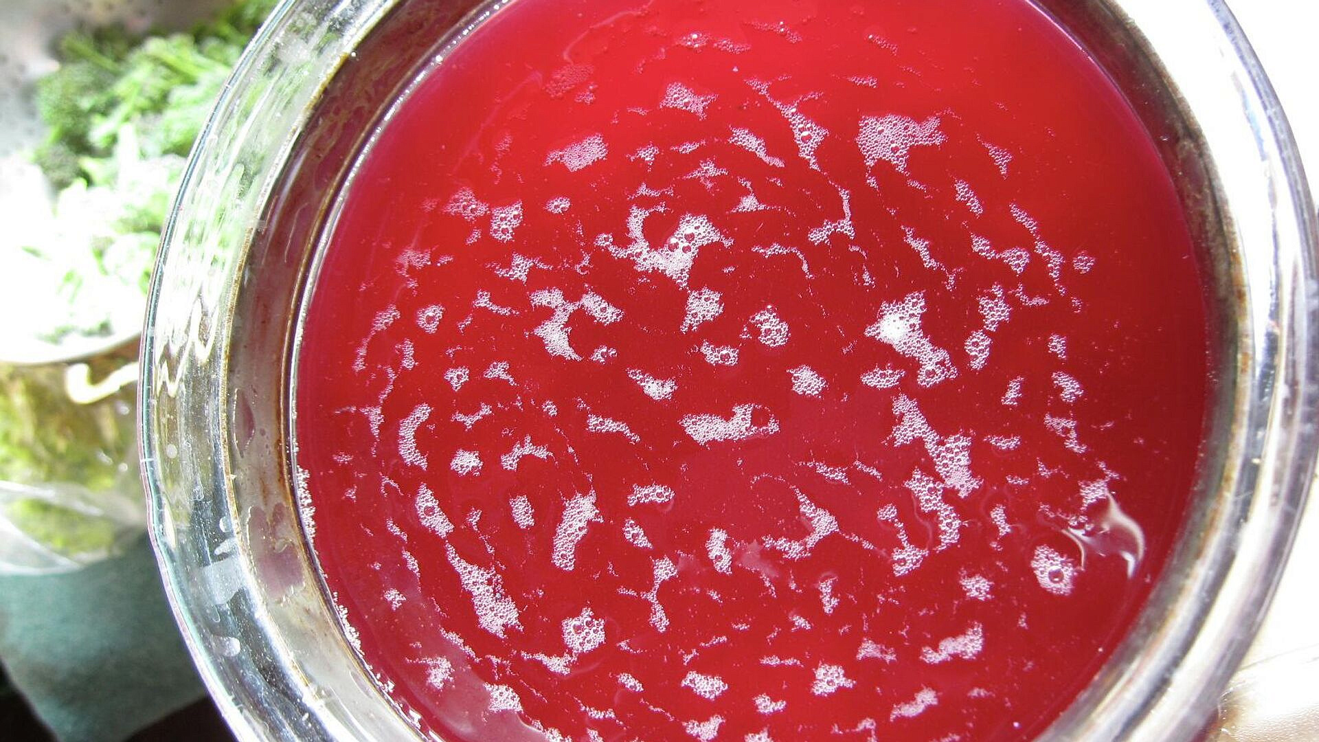 Российский стартап разработал фитоквас для снятия стресса и усталости 