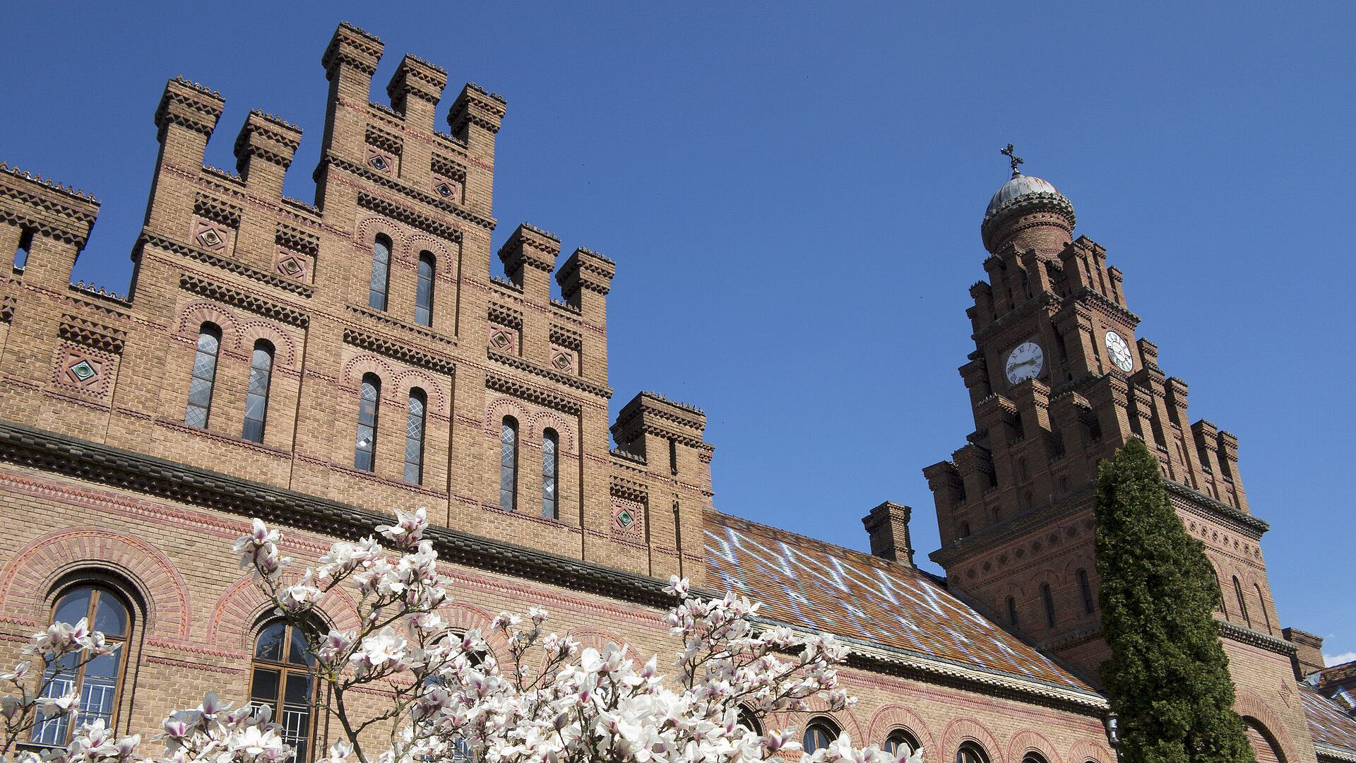 � ����������� ������� �������� � ������ ����� ���� ����� ���������������