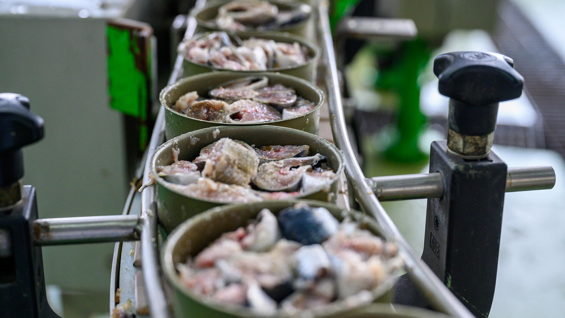 � ��������� ���������������� ��������� �� ������� �������� ���������